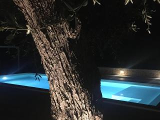 Trullo in Puglia with Private Pool and Charm - 1