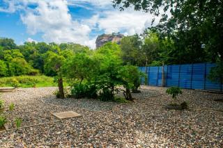 Sigiri Lilly Lodge - 9