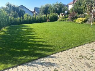 Executive villa with garden near Palas Mall - 6