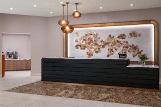Embassy Suites by Hilton at Hot Springs Convention Center - 8