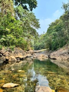 Happy Homestay - Riverside Retreat - 0