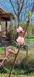 Casa Luchetti - 3