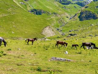 Korabi Mountain Camping - 9