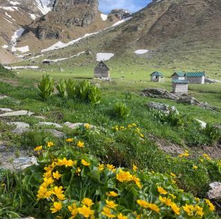 Korabi Mountain Camping - 3