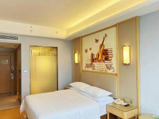 Vienna Hotel Zhengzhou Fengchan Road Fortune Plaza - 5