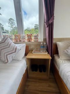 Hoa Chuông Villa Đà Lạt - 3