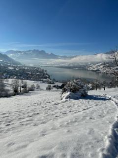 Verena's Boutique Villa am See - 8