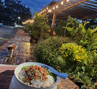 บ้านพักใกล้พืชสวนโลก - 2