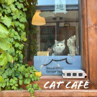 Architect's Cat Hanok - Sindal House Gyeongju - 3