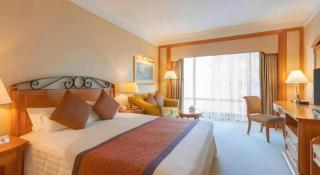 Regency Hotel - 3