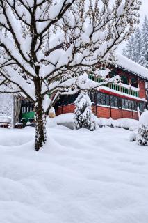 Valley of Musafir - 6