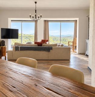 Villa avec vue et piscine privée - 1