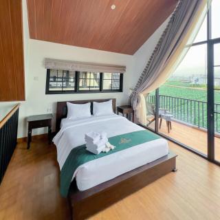 The Boe Cottage Dieng - 8