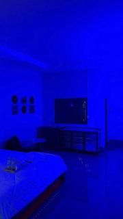 NEON - 365Home - 8
