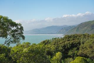 Clifftop 1 Bedroom Tiny House Sea Views & Kāpiti Island - 8