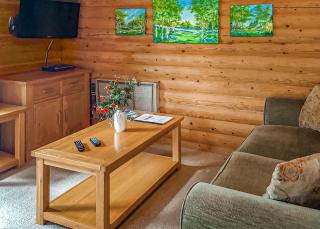 Pantglas Hall Lodges - 1