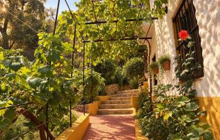 Lovely Cottage In Algatocín - 3