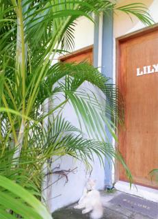 Sunnydale Apartelle -Room Accommodation near Calatagan Beach Resorts - 9