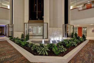 Embassy Suites Little Rock - 2