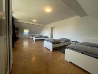 APARTS 3-Zimmer Apartment in Schönefeld-Waltersdorf - 1