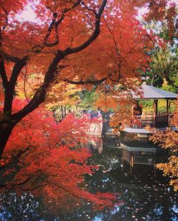 A 4-minute walk from Ikebukuro Station 南池袋戸建 - 3