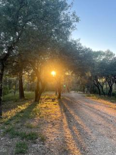 Nature getaway 10 min from Montpellier - 3