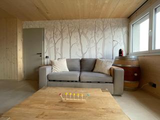 Appartement 2,5 pièces neuf avec terrasse - 9