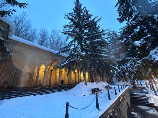 Hirsch Haus Jermuk - 2