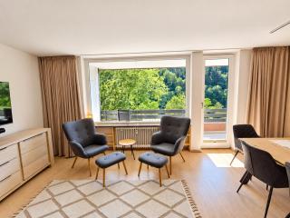 Waldpanorama - Winterberg - 8