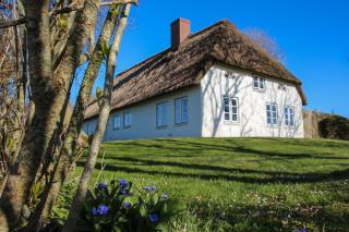 Reetdachhaus-Poppenbüll - 1