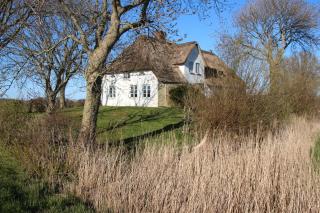 Reetdachhaus-Poppenbüll - 5