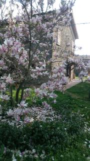 Agriturismo Solidor - 5