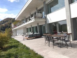 Hillfortswiss holiday inn - 9
