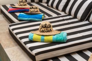 Riad White Cactus - 7