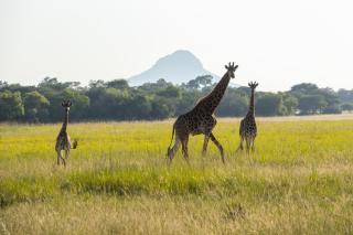 Kranskop Lodge - 3