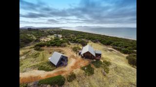 Dolphin Beach House - Swansea - 4