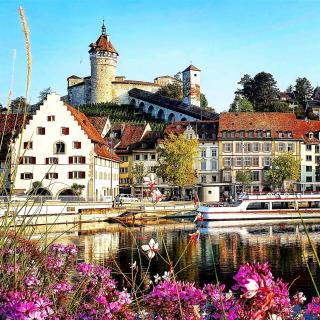 Near Rhine Falls perfect for Families EV Charger - 3