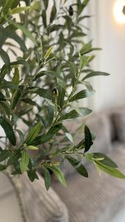Harmony Οne by Av Properties - 0