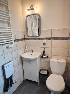 Apartament Alpejski Duży - 1