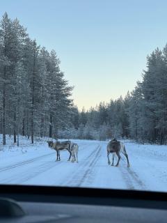 Saunallinen huoneisto Rukan ytimessä vk 47 - 2