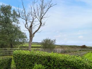 Rowan Cottage - Uk52415 - 1