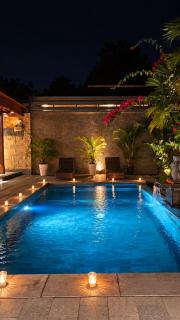 Ubud Paradise Luxury Villa - 4