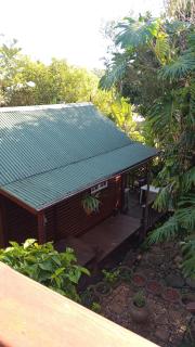 Treehouse - 4