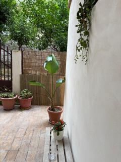 Sogno di puglia - Taranto - 8