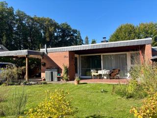 Waldblick - 9
