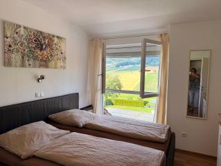 Böhmerwald pur - Haus1 mit eigener Sauna! - 8