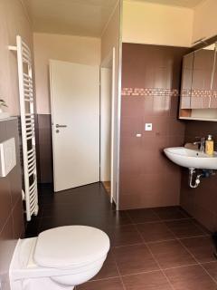 Böhmerwald pur - Haus1 mit eigener Sauna! - 4