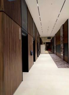 Luxe Residence in Grand River Complex - 8