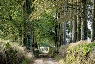 St Clements Lodge - 6