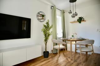Lake and City Suite Central Bregenz - 5